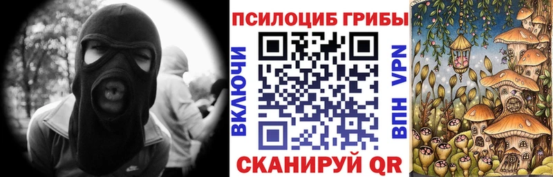 Купить закладки  Нестеров  Псилоцибиновые грибы Psilocybe 
